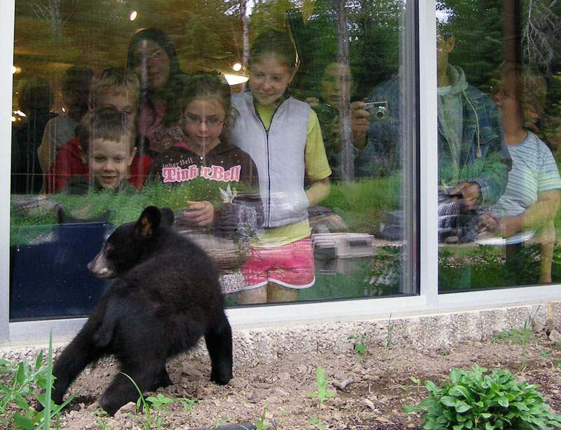 Lucky with visitors - 2007