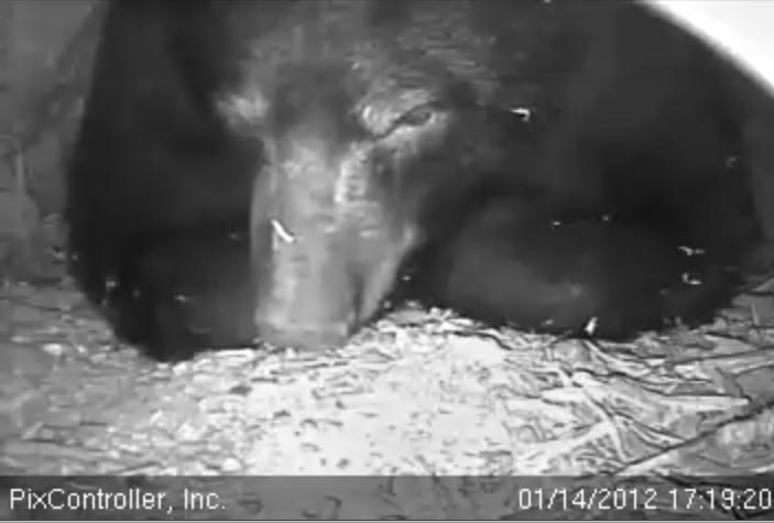 Jewel looking uncomfortable - Jan 14, 2012