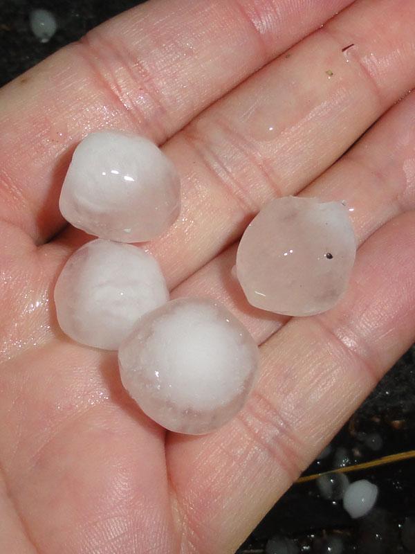 Hail from today's storm - Sept 4, 2012