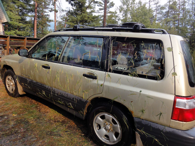 Sue's car - Sept 4, 2012