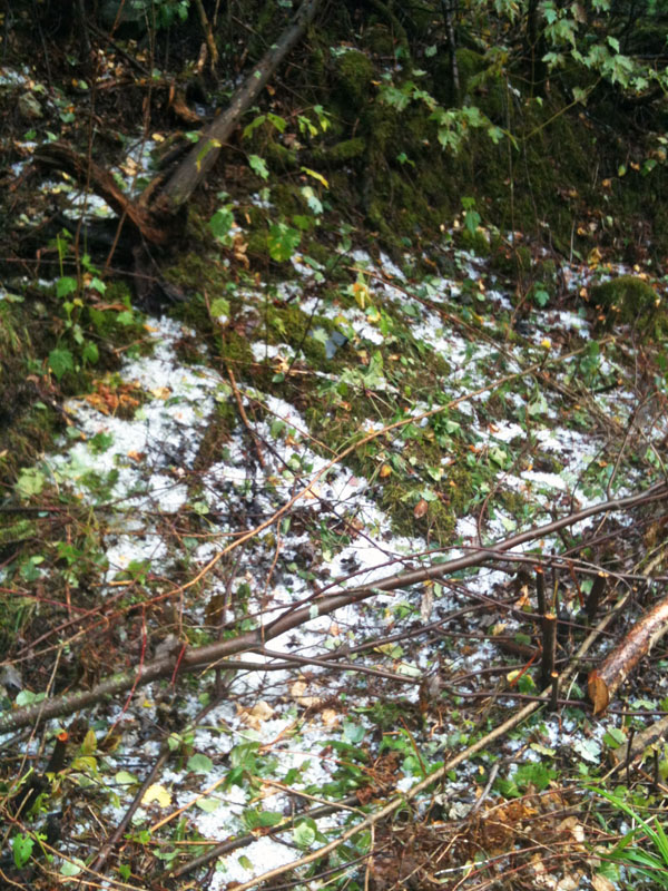 Hail covering ground