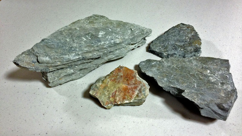 Ely Greenstone - Nov 14, 2012