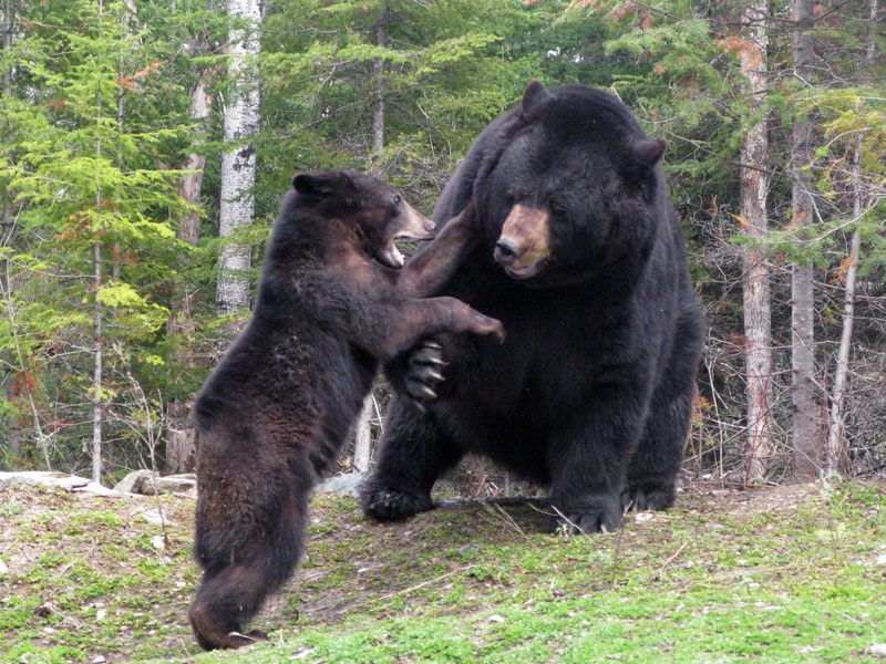 Ted and Lucky - May 11, 2008