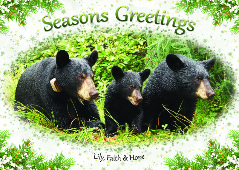2011 holiday card -- coming soon!