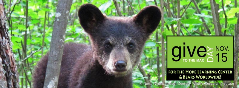 2012 givemn hope banner