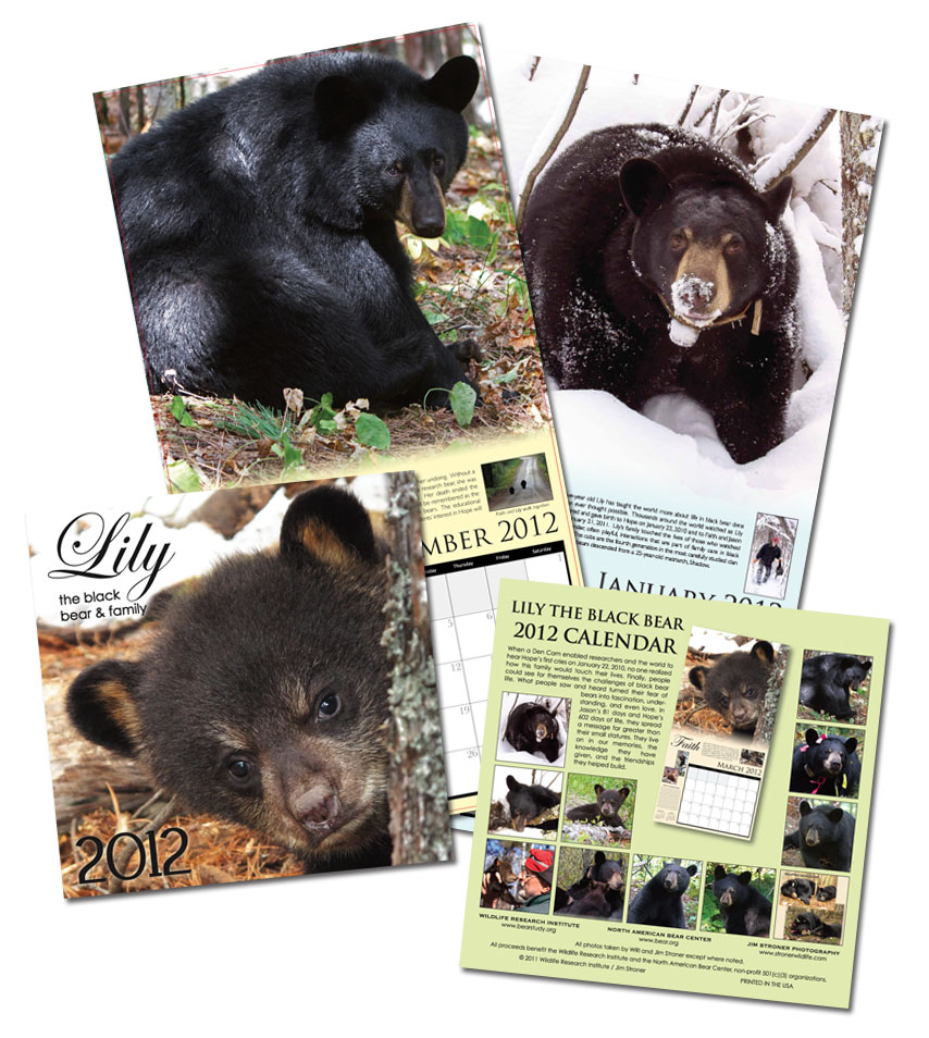 Lily & Family 2012 calendar