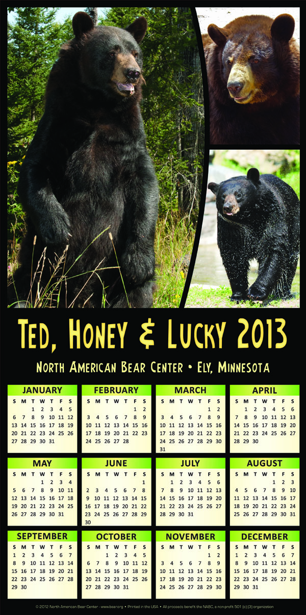 2013 Ted-Honey_Lucky Calendar