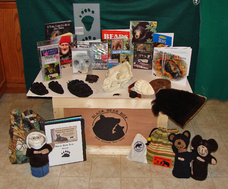 Bear_Box_contents