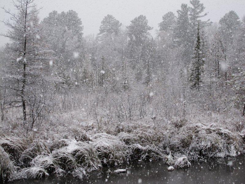 big snowflakes - Oct 27, 2011