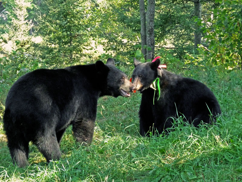 Bill and Sharon - Aug 28, 2012