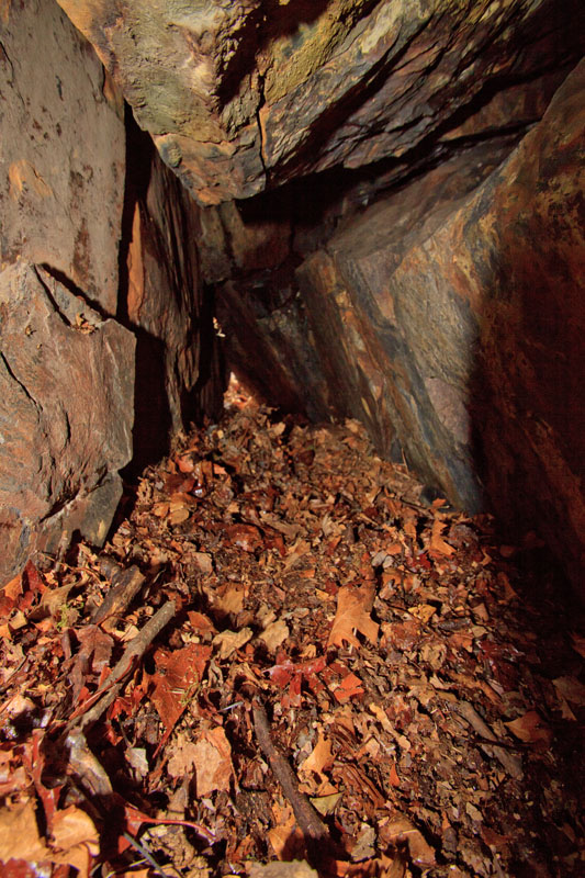 Braveheart_den_-_20110506