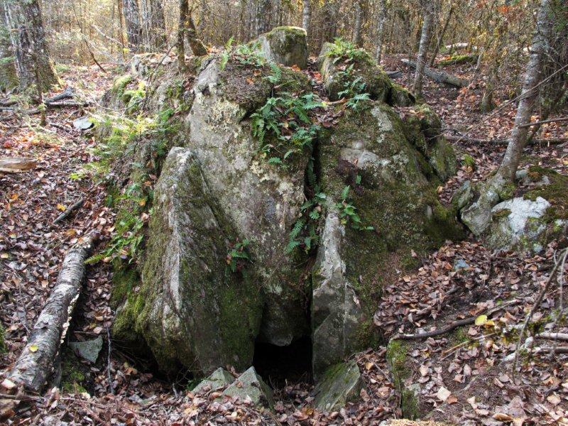 rock den explored by June and cubs (2005) and briefly used by Cal (2008)