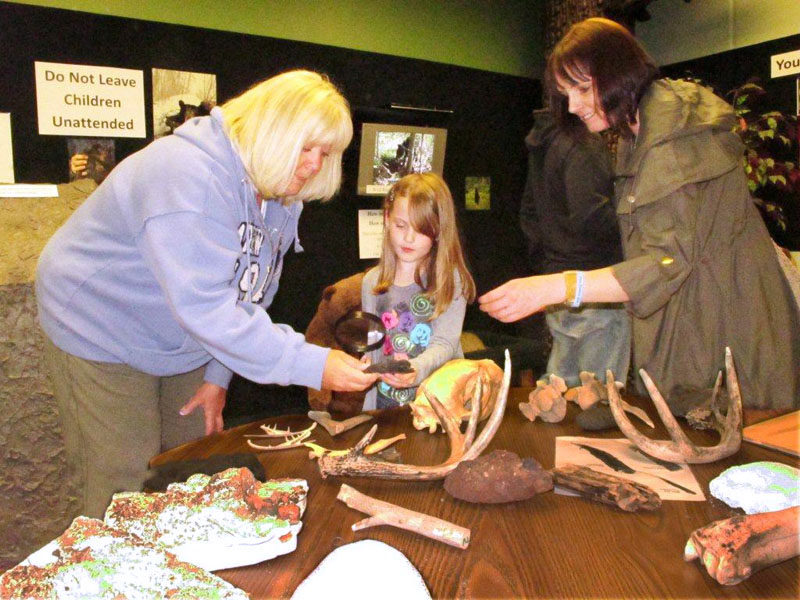 Dana, Eva, and June explore the Cub Room at the Bear Center - June 14, 2012