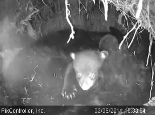 Faith_-_20110309_153354