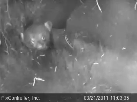 Faith_-_20110321_110335