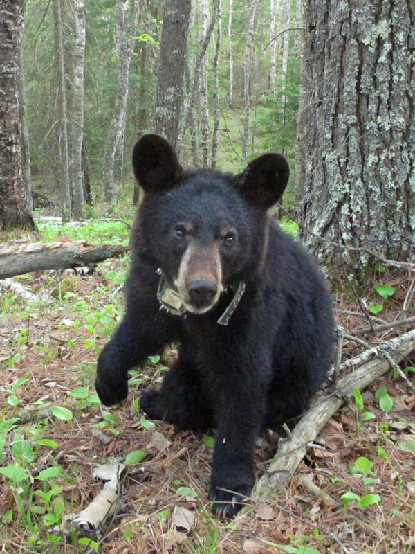 Faith on her own - May 15, 2012