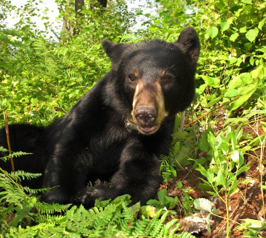 Faith - July 24, 2012