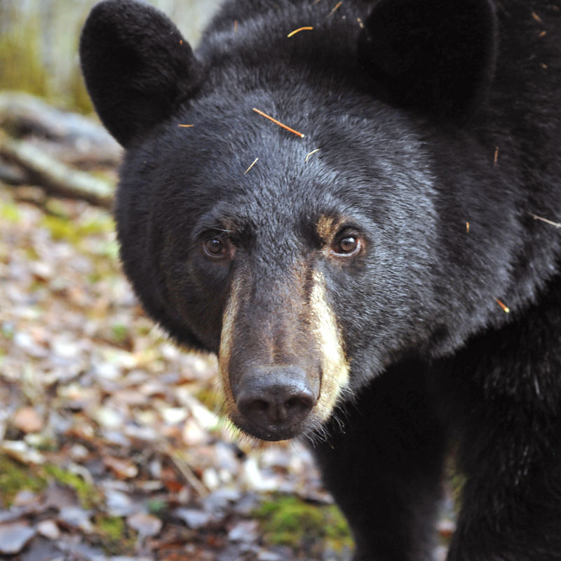 Faith - Oct 21, 2012