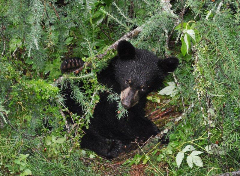 Faith_8-9-11_Sharon_Thompson