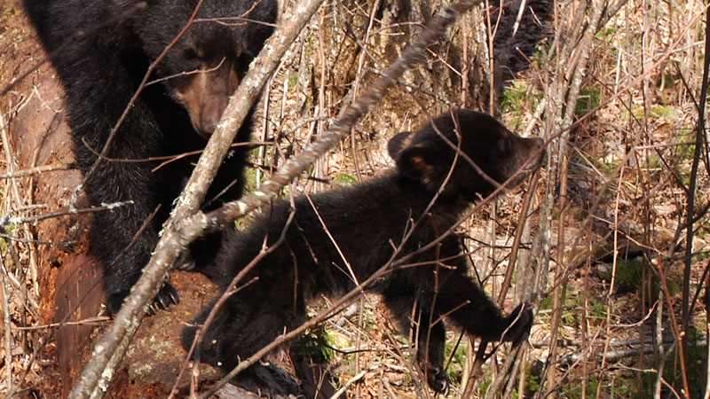 Faith_and_Hope_-_20110429