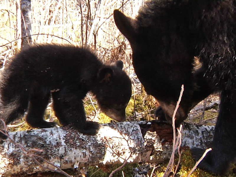 Faith_and_Hope_2_-_20110429