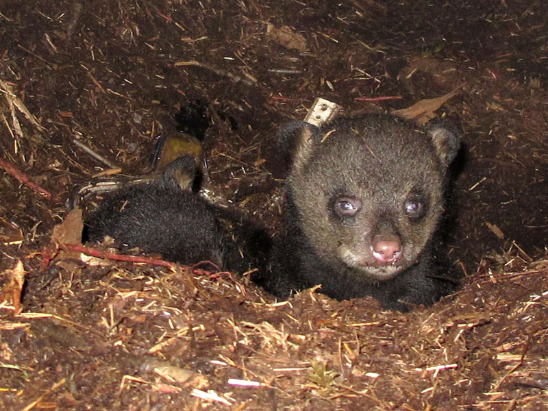 Faith_and_Jason_-_20110318