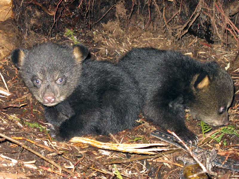 Faith_and_Jason_in_den_-_20110327