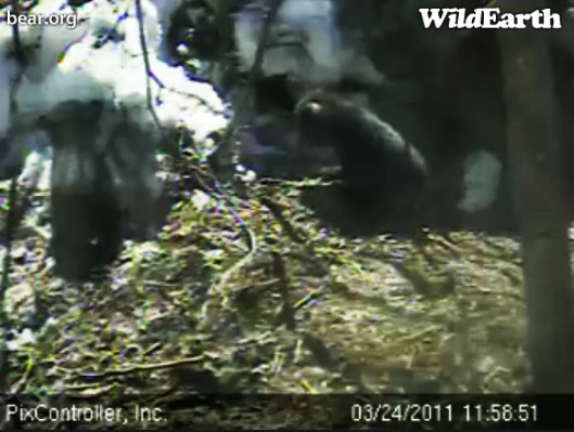 Faith_and_Jason_outside_den_-_20110324_115851