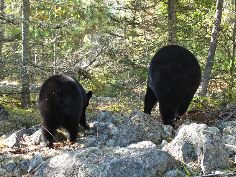 Faith and_Lily_-_20110925