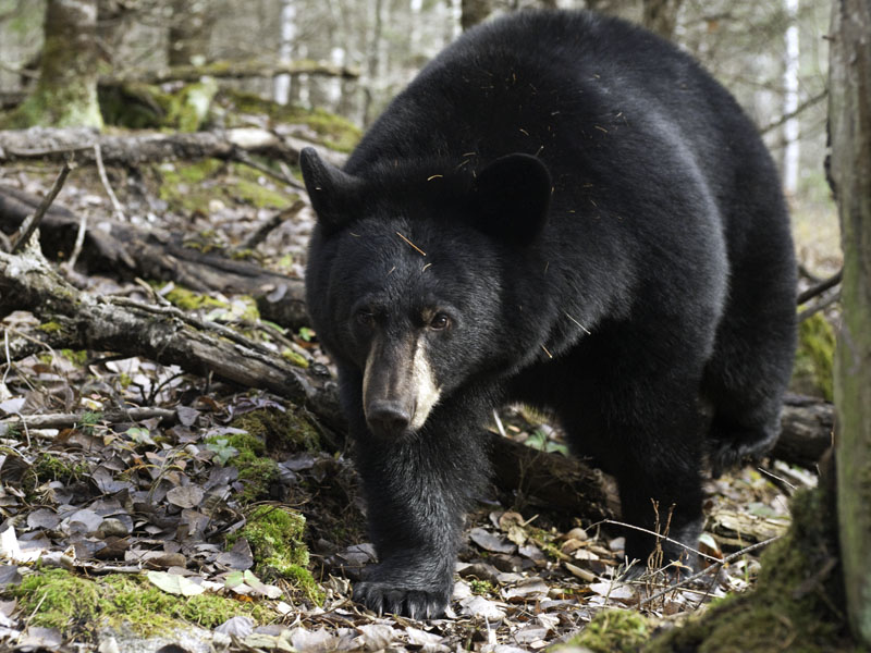 Faith cautiously approaches - Oct 21, 2012