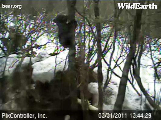 Faith_climbing_-_20110331_134429