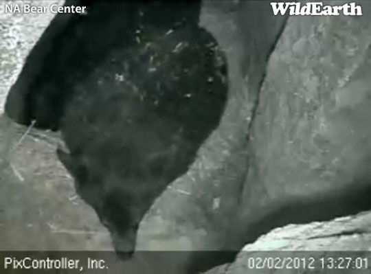 Faith eats snow - Feb 2, 2012