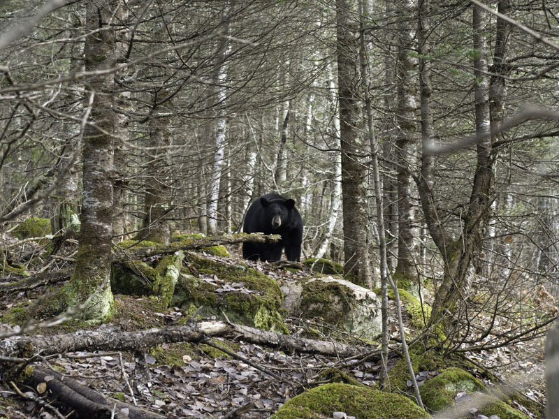 Faith hesitates - Oct 21, 2012