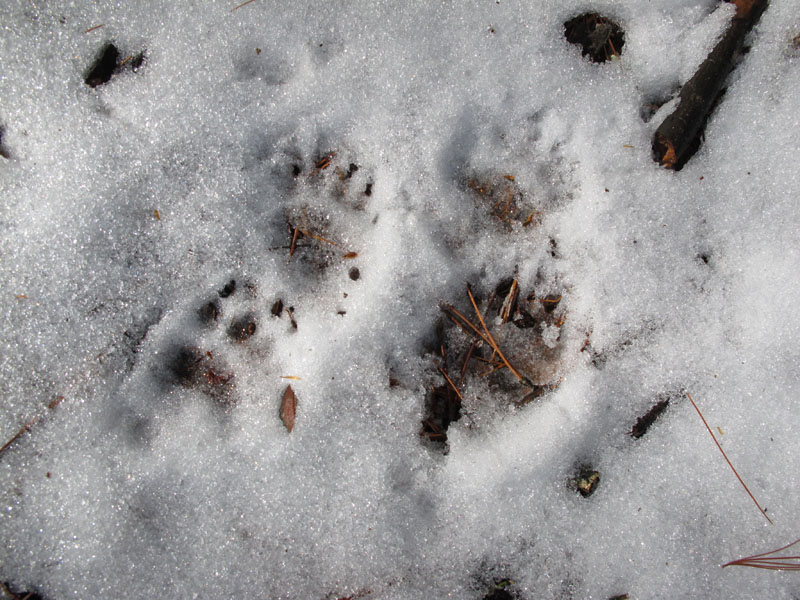 Faith_tracks_-_20110422