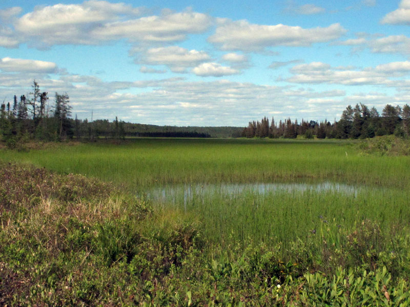 Grassy Lake - June 12, 2012
