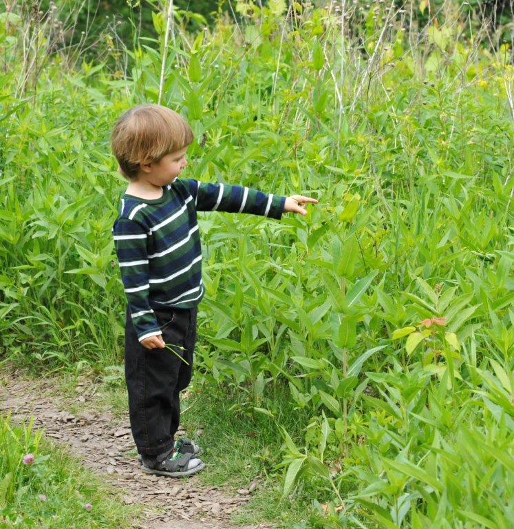Heinrich points out dragonfly - June 2, 2012