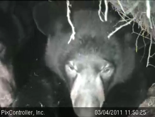 Hope_-_20110304_115025