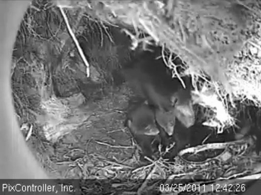 Hope_Faith_and_Jason_-_20110325_124226