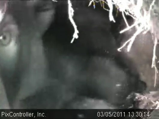 Hope_after_licking_the_lens_-_20110305_133014