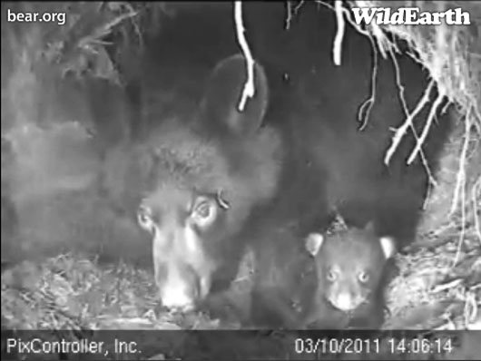 Hope_and_Faith_-_20110310_140614