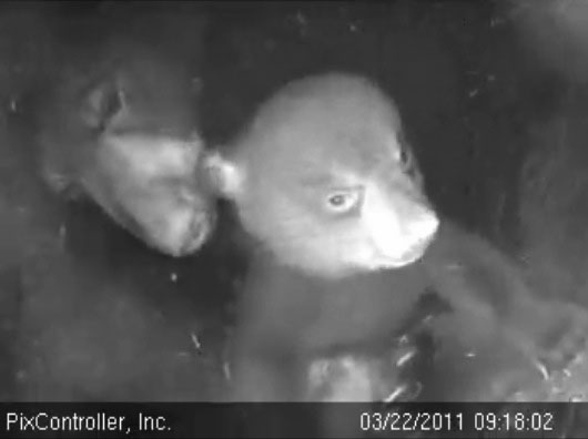 Hope_and_Jason_-_20110322_091802