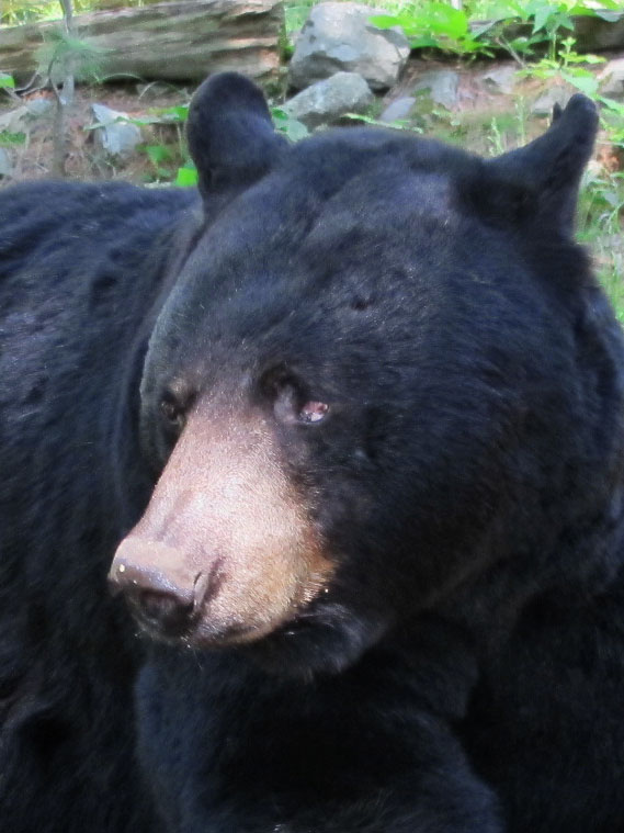 Jack is back! - June 25, 2012