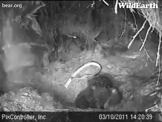 Jason_and_Faith_-_201103110_142039