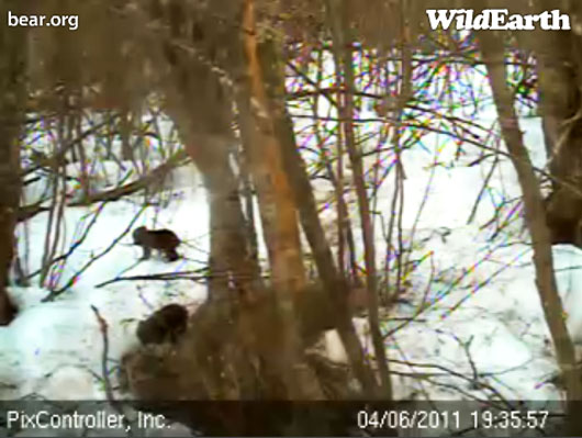 Jason_and_Faith_-_20110406_193557