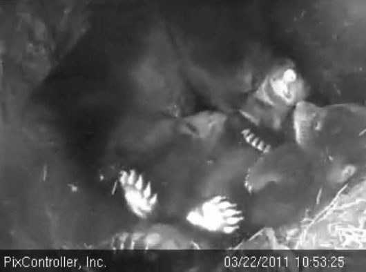 Jason_bliss_-_20110322_105325