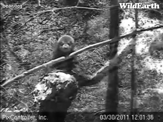 Jason_under_PTZ_-_20110330_120136