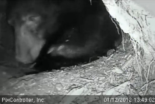 Jewel -_Jan 12, 2012