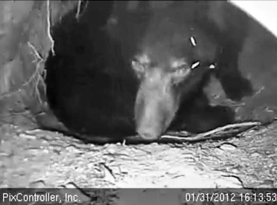 Jewel - Jan 31, 2012