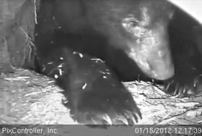 Jewel - Jan 12, 2012