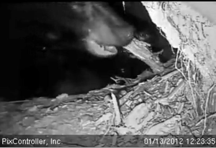 Jewel - Jan 13, 2012